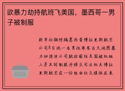 欲暴力劫持航班飞美国，墨西哥一男子被制服